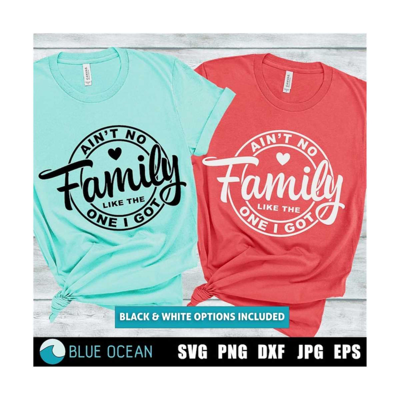 21102023114830-aint-no-family-like-the-one-i-got-svg-family-reunion-image-1.jpg
