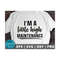 MR-21102023133537-im-a-little-high-maintenance-svg-png-weed-svg-cannabis-image-1.jpg