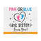 MR-2110202315591-pink-or-blue-big-sister-loves-you-svg-big-sister-svg-baby-image-1.jpg