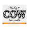 MR-2110202317315-holy-cow-im-cute-svg-country-western-baby-gift-svg-cute-image-1.jpg