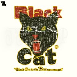 vintage black cat retro halloween png