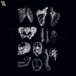 vintage human anatomy halloween png