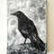 Bird-acrylic-painting-black-raven-on-canvas-art-impasto-wall-decor.jpg