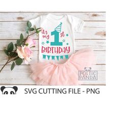 It's my 1st BIRTHDAY SVG PNG, First Birthday Cricut Cut files, 1st Birthday Svg, Baby First Birthday Party Svg, First Birthday Shirt Svg