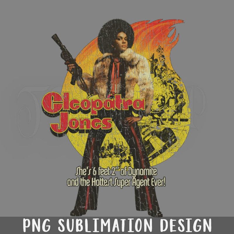 DMCC143-Cleopatra Jones 1973 PNG Download.jpg