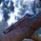 WhatsApp Image 2023-08-26 at 2.09.28 PM.jpeg