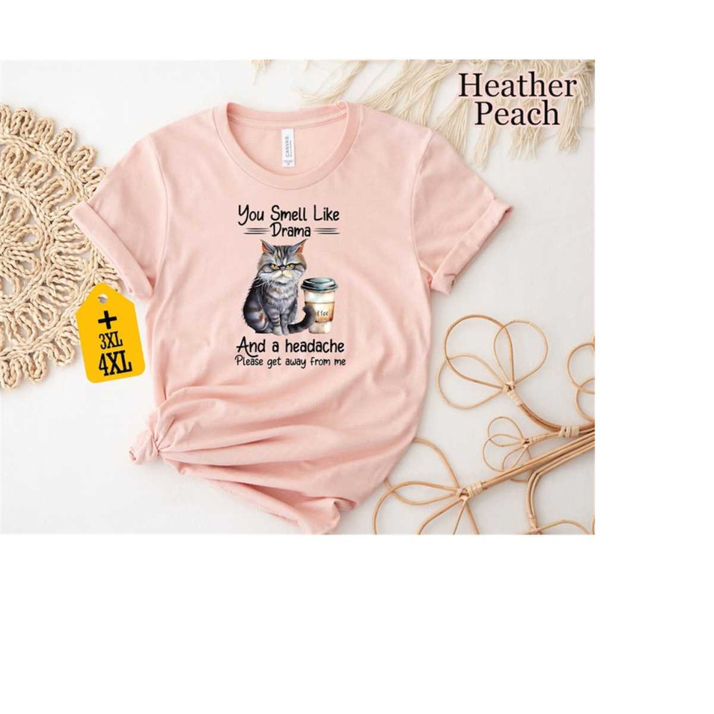 MR-2310202392940-you-smell-like-drama-shirt-funny-cat-shirt-funny-saying-image-1.jpg