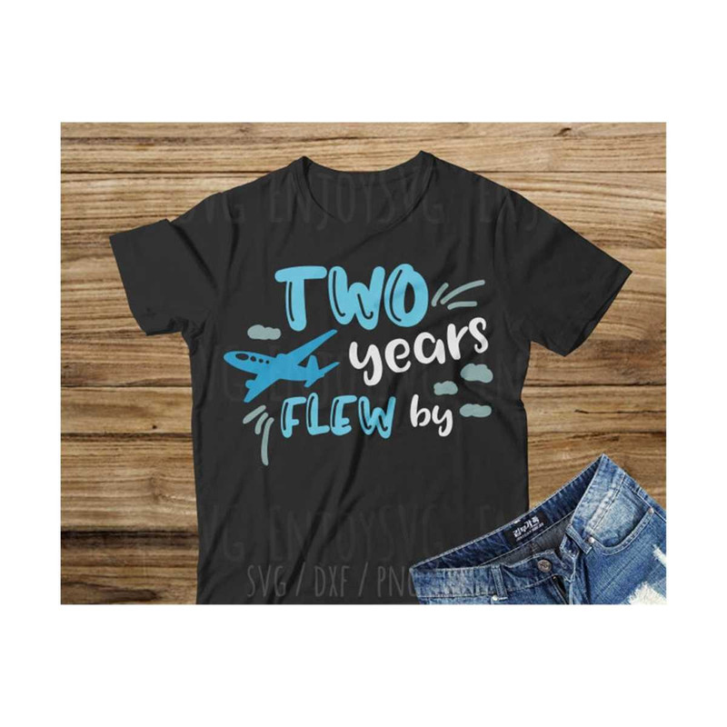 MR-2310202394210-two-year-flew-by-svg-two-birthday-svg-two-wild-svg-birthday-image-1.jpg