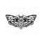 2310202312232-moth-svg-moth-svg-file-spirit-moth-svgmoths-cut-image-1.jpg