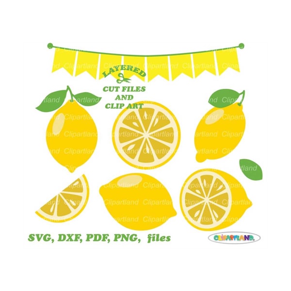 23102023145528-instant-download-lemons-svg-cut-file-and-clip-art-commercial-image-1.jpg