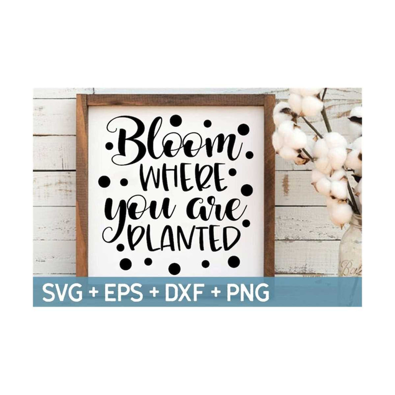23102023151037-bloom-where-you-are-planted-svg-inspirational-quote-image-1.jpg
