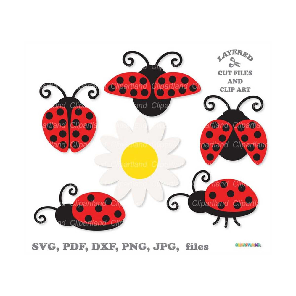 2310202316922-instant-download-ladybug-svg-cute-ladybird-svg-cut-file-for-image-1.jpg