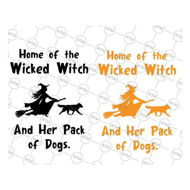 UNICORN WTM_CV_HLO3128.jpg