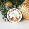 Custom Baby First Christmas Bauble,Baby 1st Christmas Ornament,Personalized Baby Christmas Decoration Jungle Animals,Newborn Christmas Gift - 5.jpg