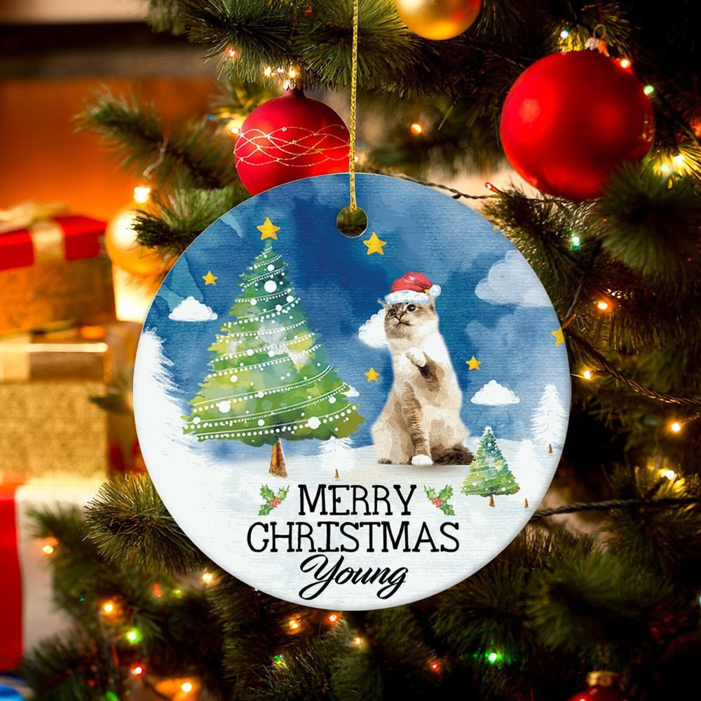 Custom Cat Christmas Ornament,Personalized Pet Photo Ornament,Dog Christmas Ornament,Pet Portrait Ornament,Christmas Bauble,Christmas Gift - 1.jpg