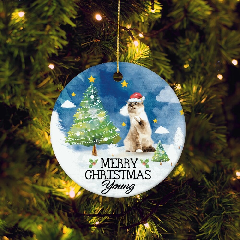 Custom Cat Christmas Ornament,Personalized Pet Photo Ornament,Dog Christmas Ornament,Pet Portrait Ornament,Christmas Bauble,Christmas Gift - 2.jpg