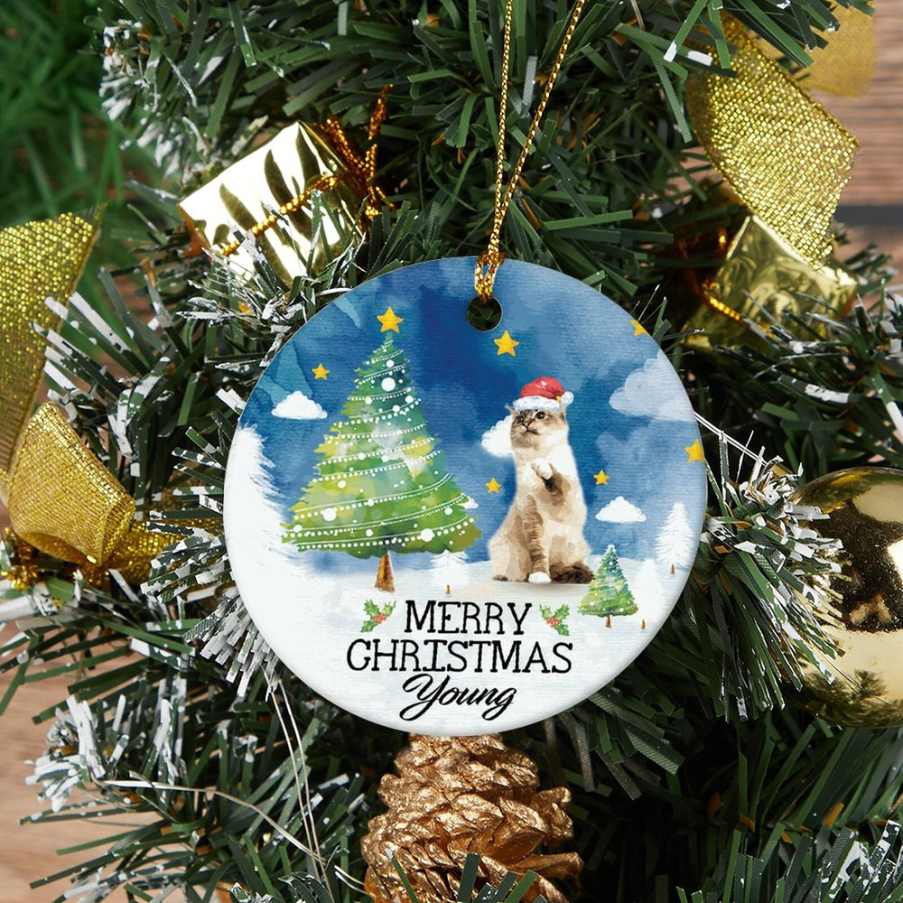 Custom Cat Christmas Ornament,Personalized Pet Photo Ornament,Dog Christmas Ornament,Pet Portrait Ornament,Christmas Bauble,Christmas Gift - 3.jpg