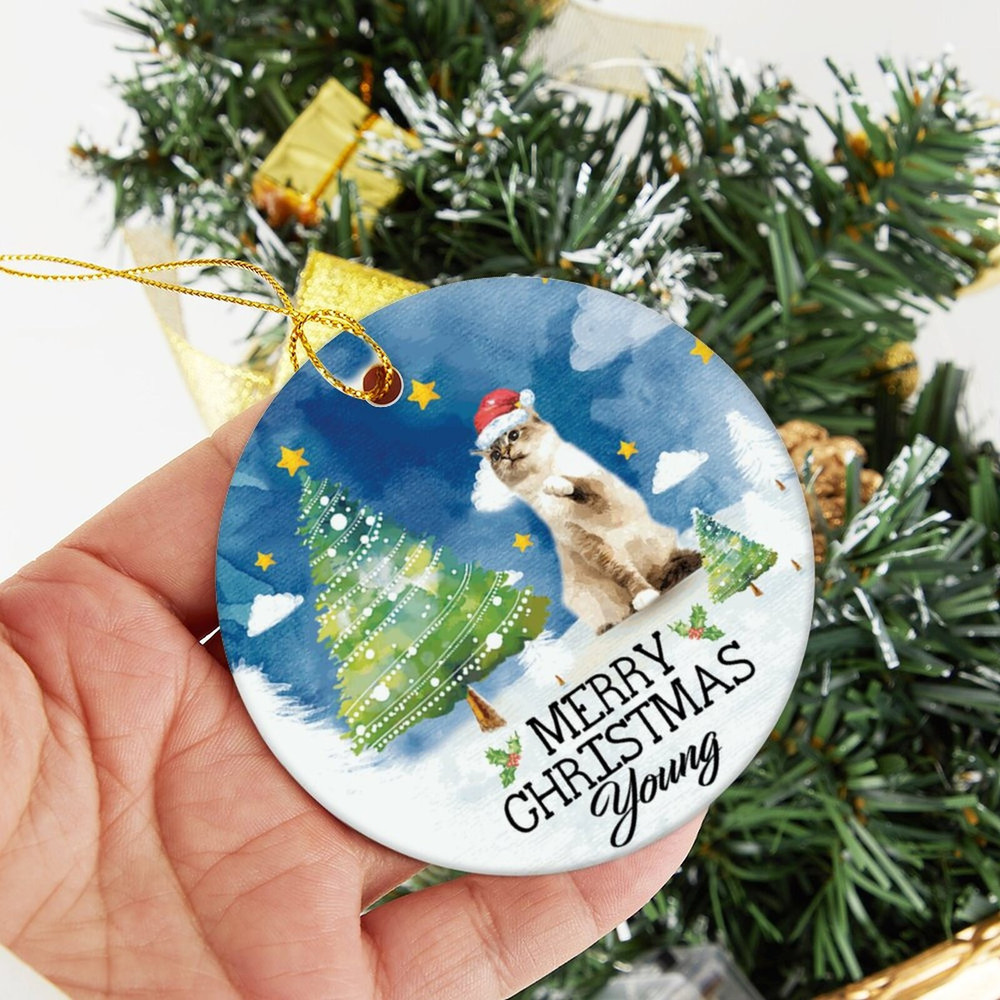 Custom Cat Christmas Ornament,Personalized Pet Photo Ornament,Dog Christmas Ornament,Pet Portrait Ornament,Christmas Bauble,Christmas Gift - 5.jpg