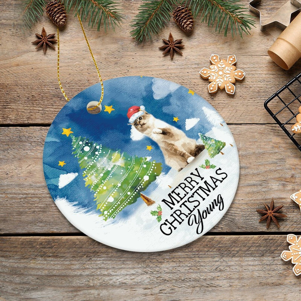 Custom Cat Christmas Ornament,Personalized Pet Photo Ornament,Dog Christmas Ornament,Pet Portrait Ornament,Christmas Bauble,Christmas Gift - 8.jpg