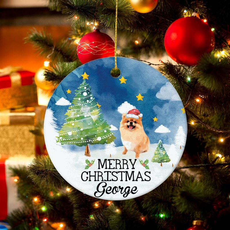 Dog Photo Christmas Ornament, Christmas Pet Ornament, Christmas Keepksake, Christmas Gift for Her, Pet Bauble Gift For Kids, Christmas Decor - 3.jpg