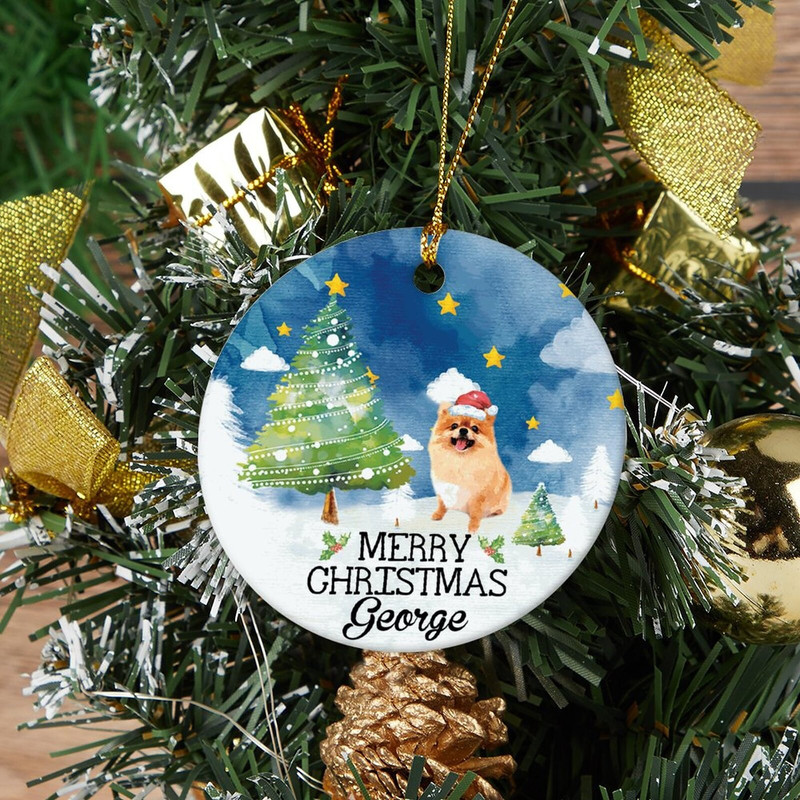 Dog Photo Christmas Ornament, Christmas Pet Ornament, Christmas Keepksake, Christmas Gift for Her, Pet Bauble Gift For Kids, Christmas Decor - 4.jpg