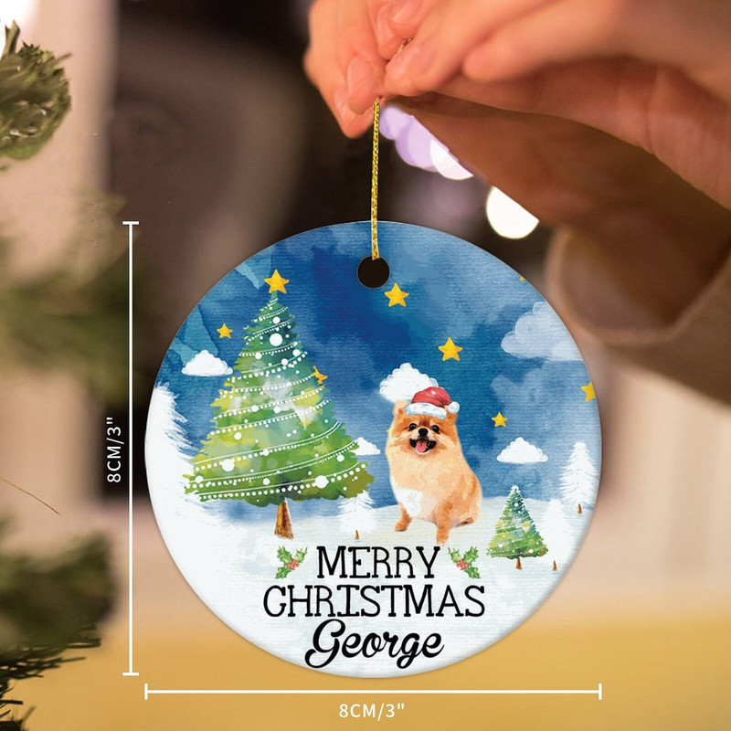 Dog Photo Christmas Ornament, Christmas Pet Ornament, Christmas Keepksake, Christmas Gift for Her, Pet Bauble Gift For Kids, Christmas Decor - 6.jpg