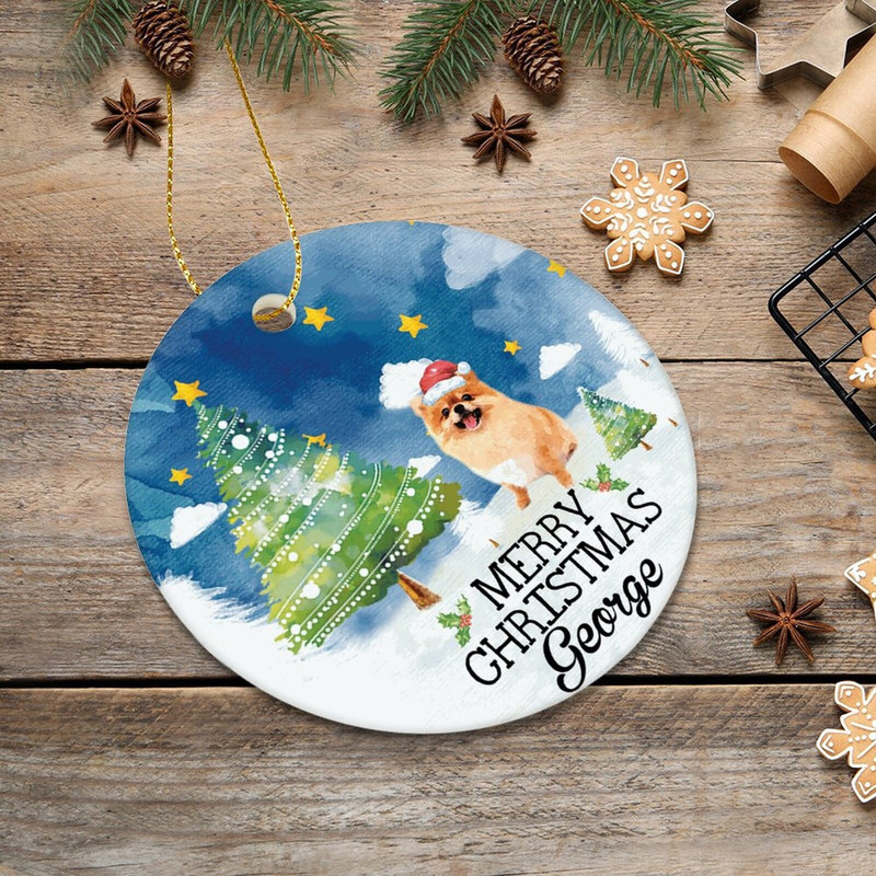 Dog Photo Christmas Ornament, Christmas Pet Ornament, Christmas Keepksake, Christmas Gift for Her, Pet Bauble Gift For Kids, Christmas Decor - 7.jpg