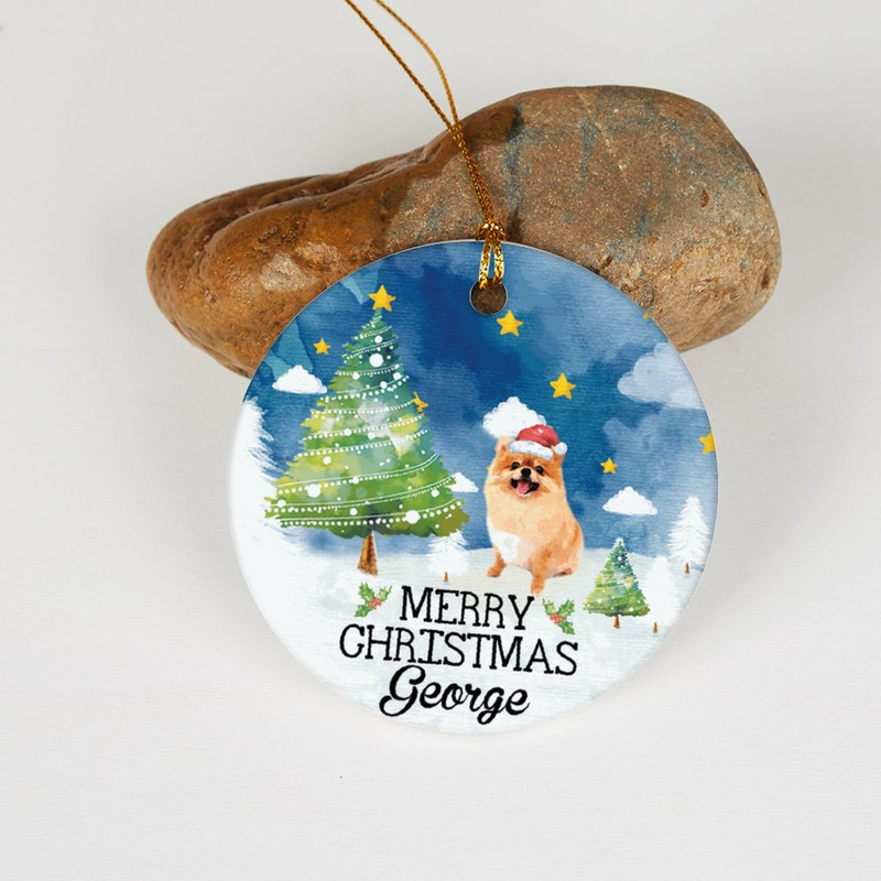 Dog Photo Christmas Ornament, Christmas Pet Ornament, Christmas Keepksake, Christmas Gift for Her, Pet Bauble Gift For Kids, Christmas Decor - 8.jpg