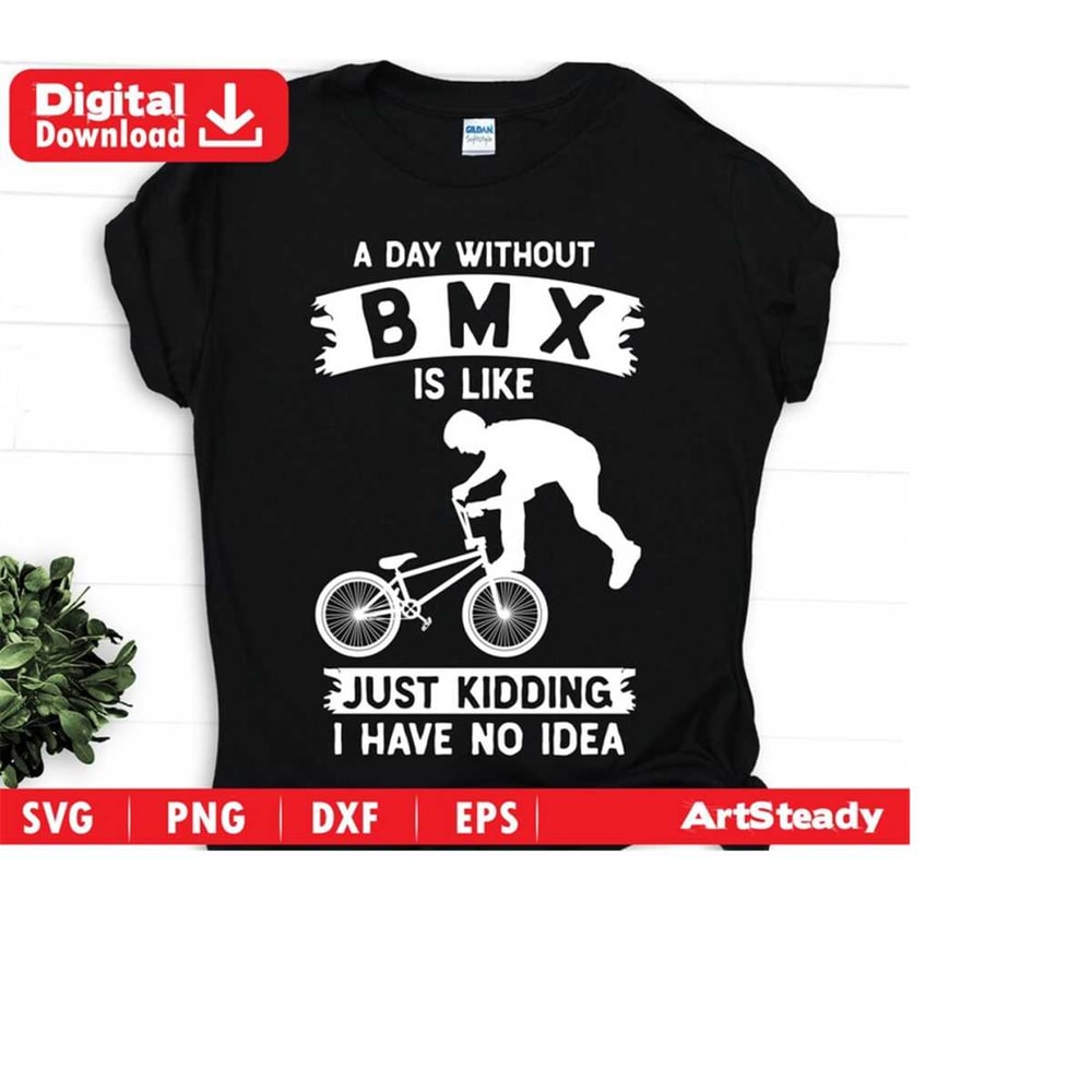 2310202318213-bmx-bicycle-svg-files-i-have-no-idea-funny-theme-bmxing-image-1.jpg