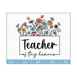 Teacher Of Tiny Humans SVG, Back to School Svg, Teacher Svg, Teacher Sayings, Teacher Appreciation Svg, Teaching Svg