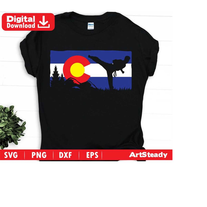 23102023192748-karate-svg-vintage-colorado-flag-martial-arts-svg-or-mma-image-1.jpg