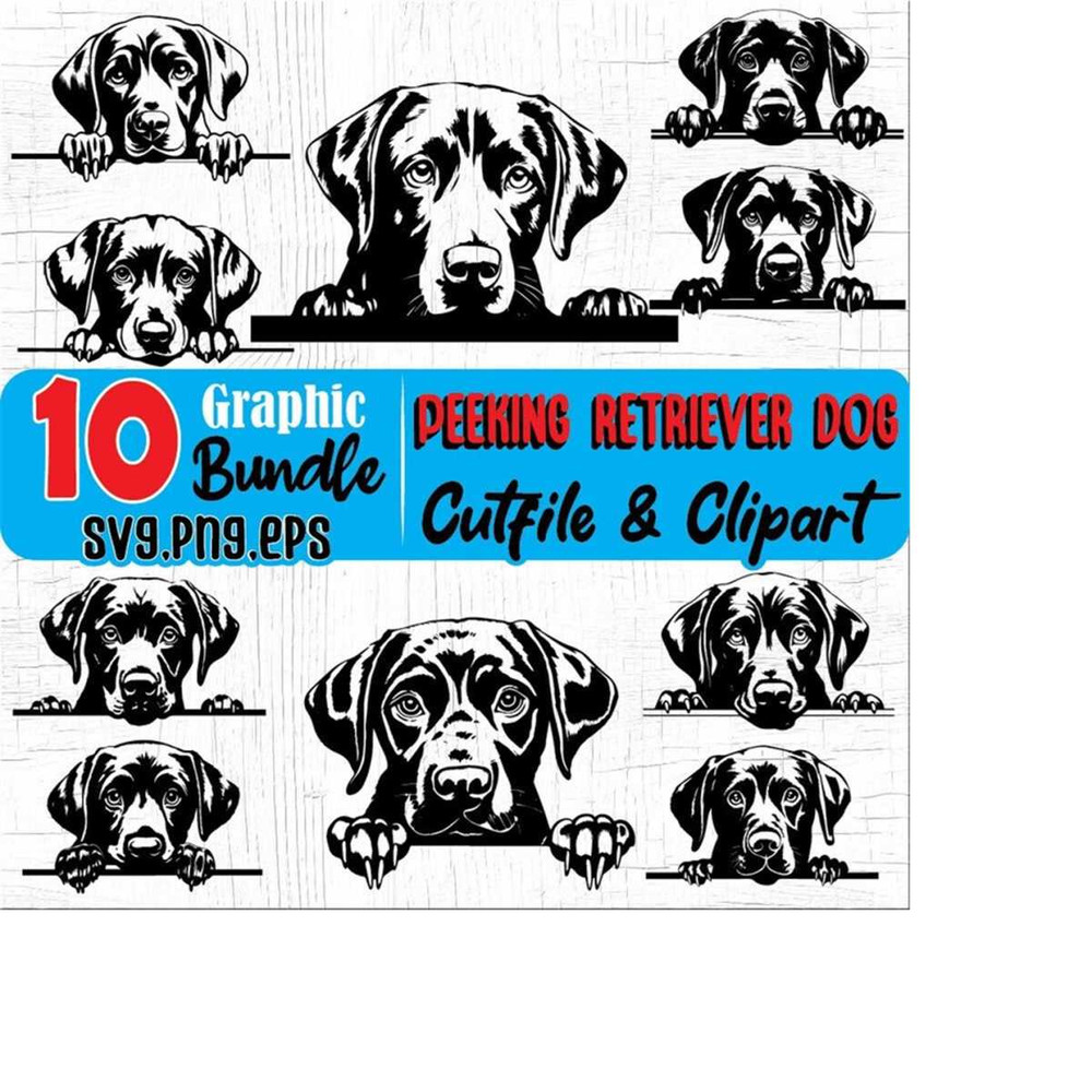 23102023192922-peeking-labrador-retriever-svg-png-eps-instant-digital-image-1.jpg
