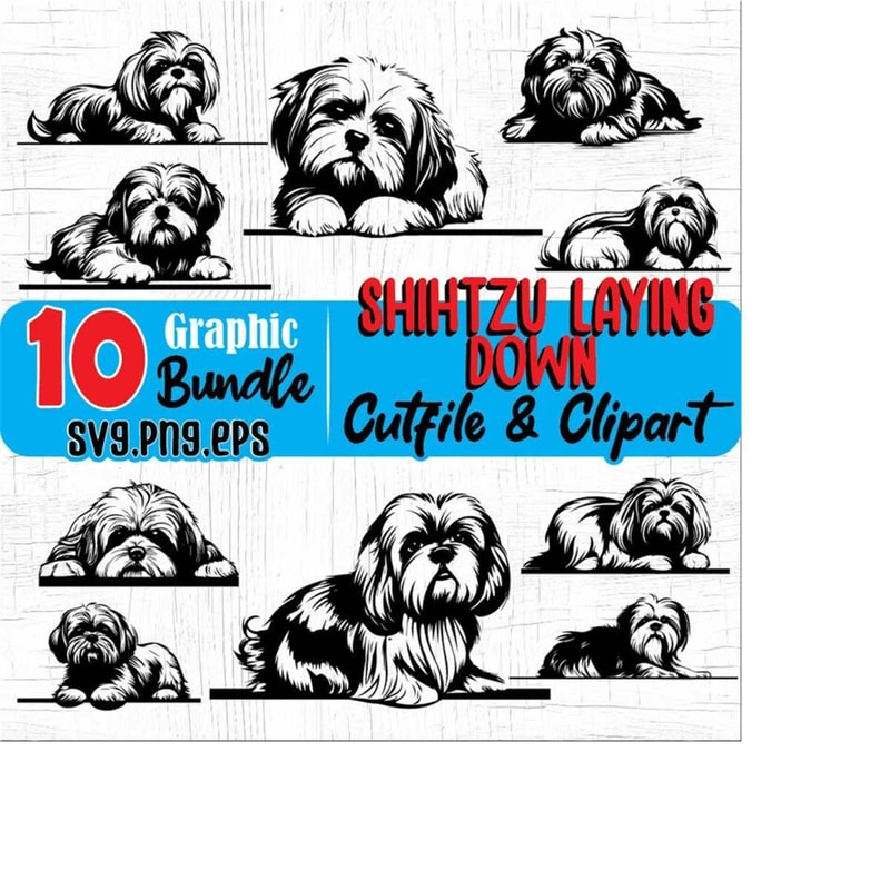 23102023203259-cute-shih-tzu-dog-laying-down-shihtzu-dog-pet-lover-or-puppy-image-1.jpg