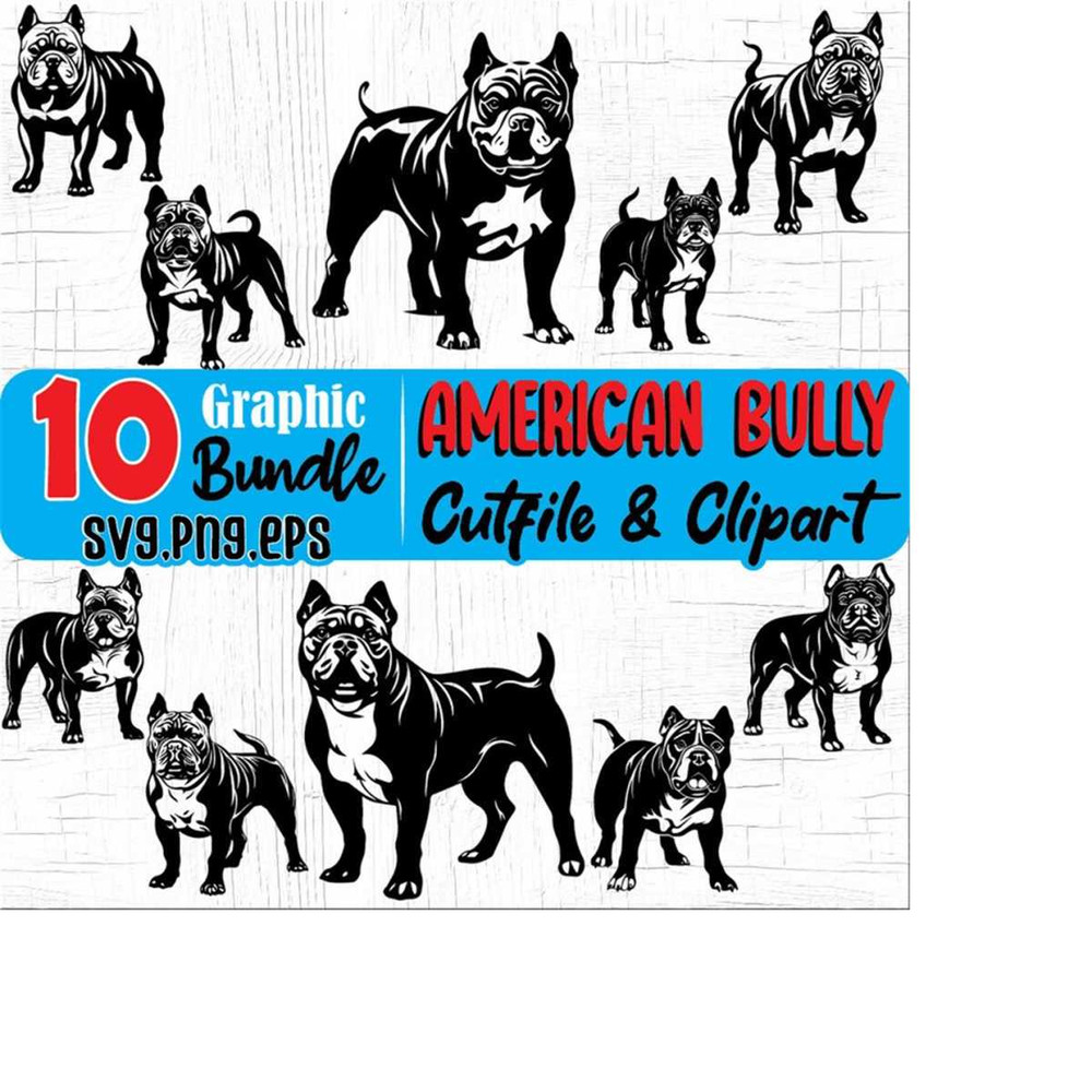 23102023203925-american-bully-standing-cute-face-pitbull-pit-bullies-dog-or-image-1.jpg