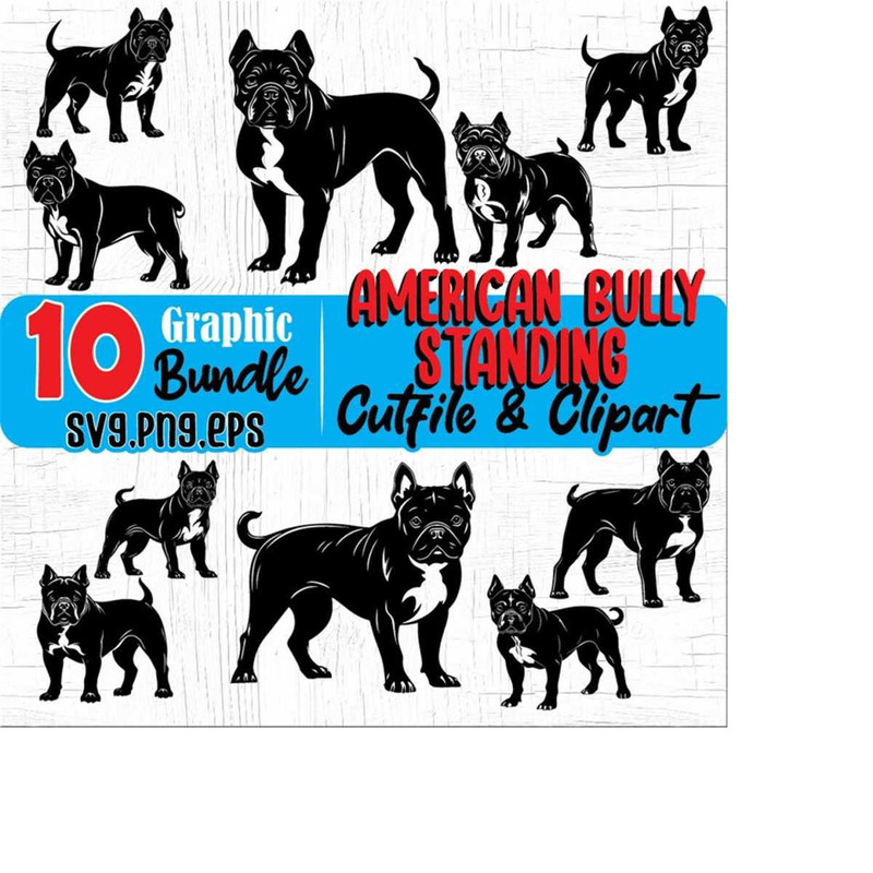 23102023203936-american-bully-standing-cool-theme-pitbull-pit-bullies-dog-or-image-1.jpg