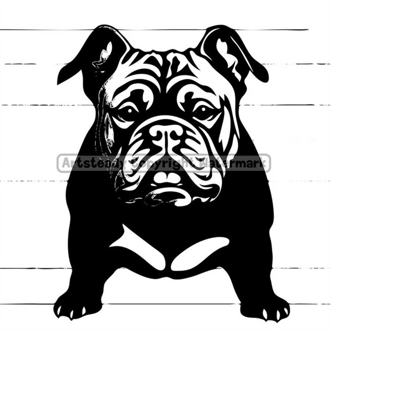 2310202320467-american-bully-or-pitbull-pit-bullies-dog-front-view-pose-svg-image-1.jpg