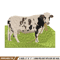 Dairy cow embroidery design, Dairy cow embroidery, logo design, Embroidery shirt, logo shirt, Instant download.jpg