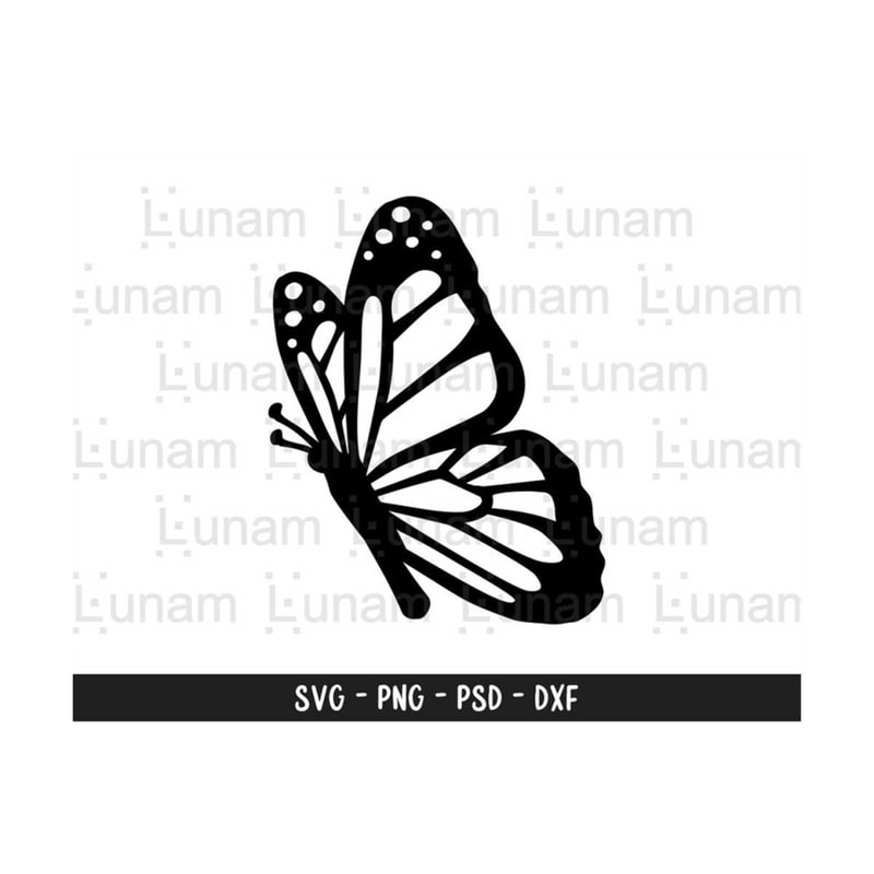241020238566-butterfly-svg-butterfly-svg-file-layered-butterfly-svg-image-1.jpg