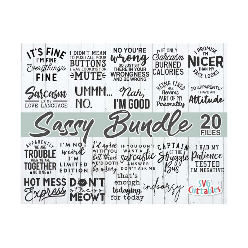 24102023104534-sassy-bundle-svg-sarcastic-cut-file-funny-svg-bundle-image-1.jpg