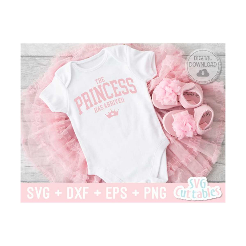 2410202310564-the-princess-has-arrived-svg-baby-shirt-svg-cut-file-svg-image-1.jpg