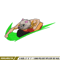 Inosuke Nike embroidery design, Kimetsu no Yaiba embroidery, Nike design, anime design, anime shirt, Digital download.jpg