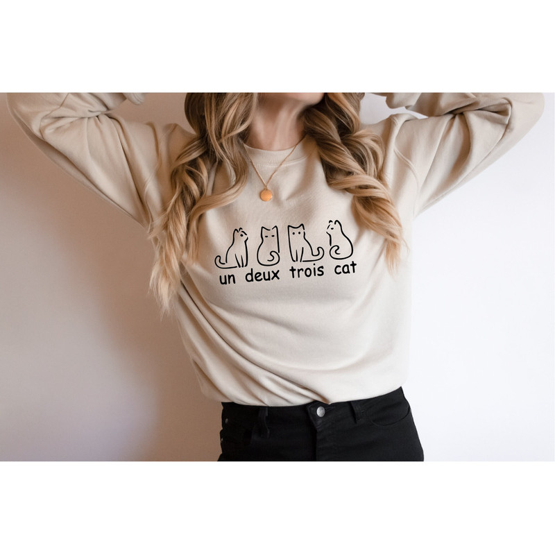 French Cat Sweatshirt, Un Deux Trois Cat Sweatshirt, Gifts for cat lovers, Cat Mom, Cute Cat Hoodie, Cat Lady Gift, Cat Clothing,Cat Dad - 3.jpg