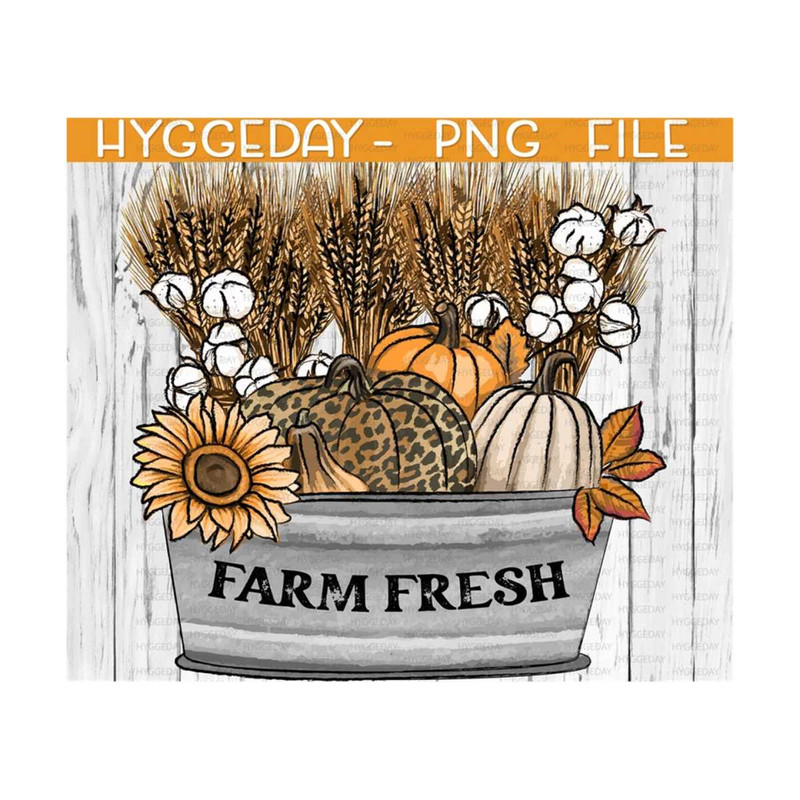 2410202313237-farm-fresh-pumpkins-png-digital-download-sublimation-png-image-1.jpg