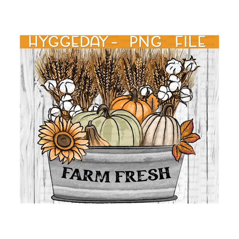 2410202313264-farm-fresh-pumpkins-png-digital-download-sublimation-png-image-1.jpg