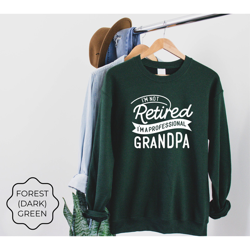 I'm Not Retired I'm A Professional Grandpa Sweatshirt, Dad Sweatshirt, Gift for Grandpa, New Dad shirt, Father's Day Gift, Birthday Gift Dad - 3.jpg