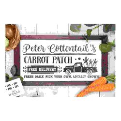 peter cottontail carrot patch svg, cottontail svg, easter