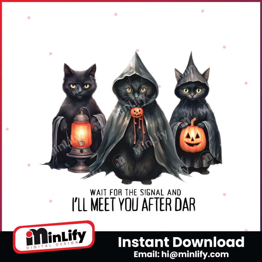 MR-minlify-inspire-1210231003-24102023145835.jpeg