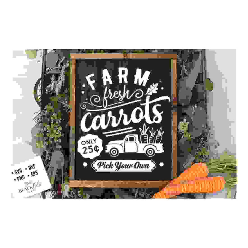 MR-24102023152936-farm-fresh-carrots-svg-cottontail-svg-easter-svg-image-1.jpg