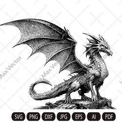 Dragon svg, Dragon detailed, Dragon Clipart, Dragon sitting, Chinese Dragon SVG, Fantasy Dragon SVG, Asian dragon Svg, D