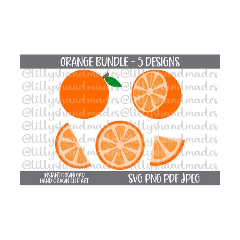 2410202316338-orange-svg-bundle-orange-png-orange-clipart-orange-vector-image-1.jpg
